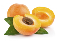 Offerta alberi da frutto