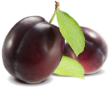 Offerta alberi da frutto