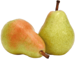 Offerta alberi da frutto