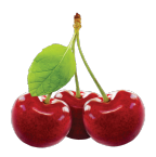 Offerta alberi da frutto